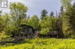 10365 RABBIT | Temagami Ontario | Slide Image Six