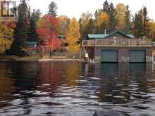10365 RABBIT | Temagami Ontario | Slide Image Eight