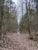 CON 1 LOT 12 | Parry Sound Ontario | Slide Image Ten