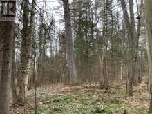 CON 1 LOT 12 | Parry Sound Ontario | Slide Image Six