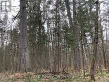 CON 1 LOT 12 | Parry Sound Ontario | Slide Image Seven