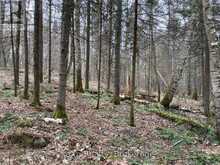 CON 1 LOT 12 | Parry Sound Ontario | Slide Image Eight