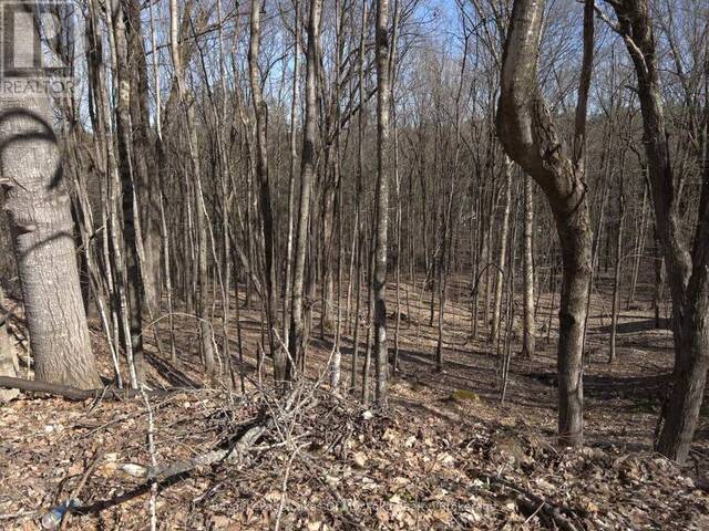 0 SOUTH MUSKOKA DRIVE Bracebridge Ontario, P1L 1M4 - Vacant Land For Sale