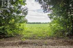 PL11-12 10 SIDE ROAD | Chatsworth Ontario | Slide Image Eight