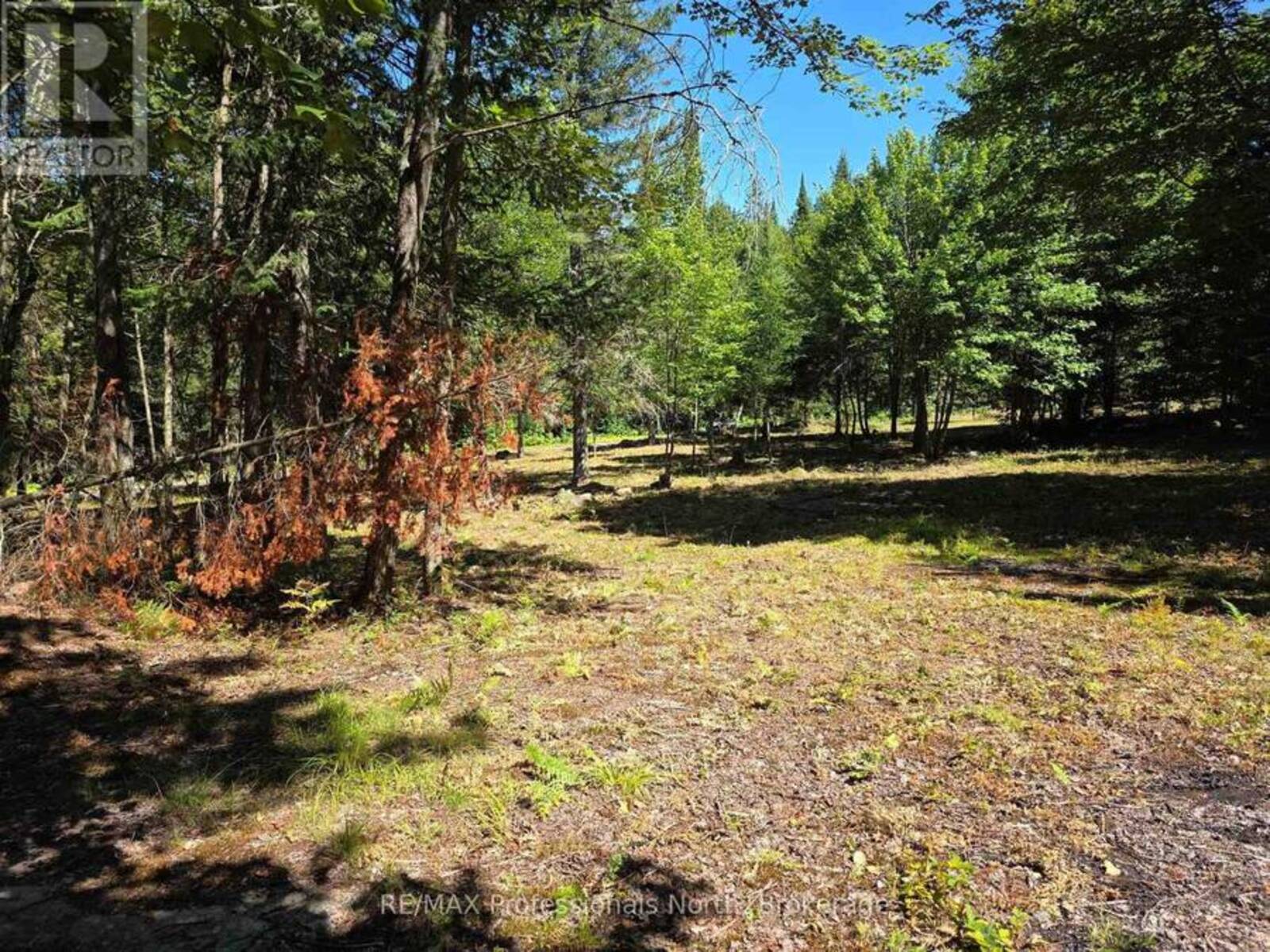 00 WHITNEY ROAD, Emsdale, Ontario P0A 1R0
