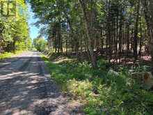 00 WHITNEY ROAD | Emsdale Ontario | Slide Image Three