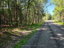 00 WHITNEY ROAD | Emsdale Ontario | Slide Image Four