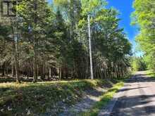 00 WHITNEY ROAD | Emsdale Ontario | Slide Image Five