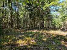 00 WHITNEY ROAD | Emsdale Ontario | Slide Image Seven