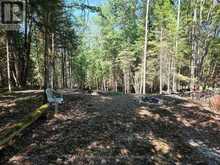 00 WHITNEY ROAD | Emsdale Ontario | Slide Image Eight