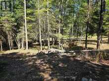 00 WHITNEY ROAD | Emsdale Ontario | Slide Image Nine