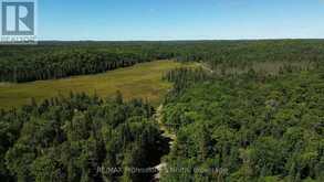 00 WHITNEY ROAD | Emsdale Ontario | Slide Image Thirteen