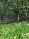LT 26 FRANK Street | Sundridge Ontario | Slide Image One