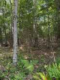 LT 26 FRANK Street | Sundridge Ontario | Slide Image Six