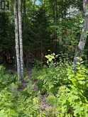 LT 26 FRANK Street | Sundridge Ontario | Slide Image Eight