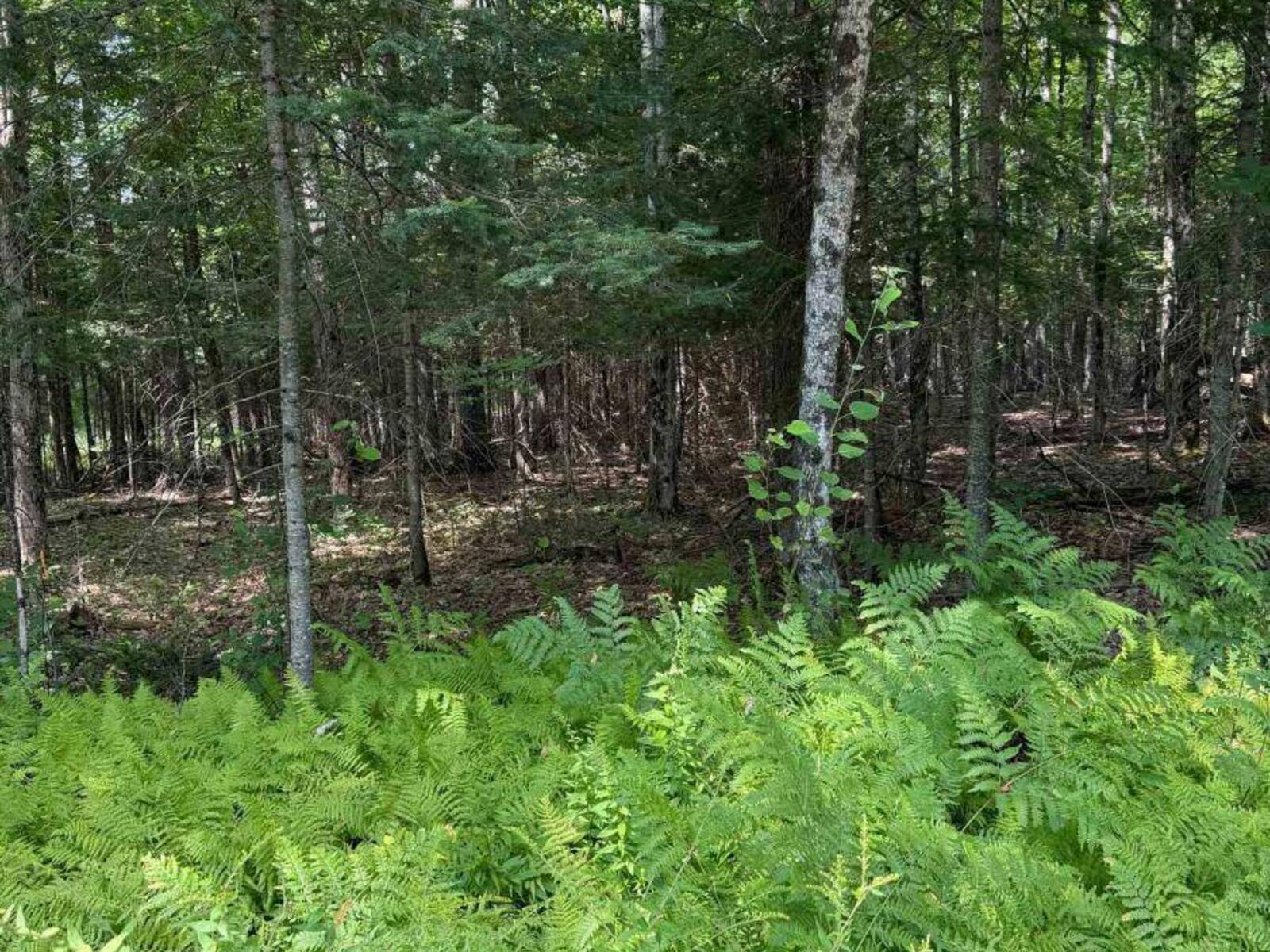 LT 26 FRANK Street, Sundridge, Ontario P0A 1Z0