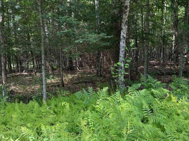 LT 26 FRANK Street Sundridge Ontario, P0A 1Z0 - Vacant Land For Sale