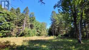 1059 ABLETT COURT | Algonquin Highlands Ontario | Slide Image Two