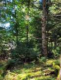 1059 ABLETT COURT | Algonquin Highlands Ontario | Slide Image Five