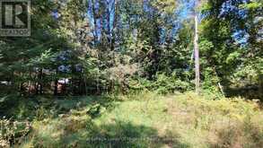 1059 ABLETT COURT | Algonquin Highlands Ontario | Slide Image Six