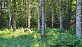 1059 ABLETT COURT | Algonquin Highlands Ontario | Slide Image Eight