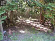 596244 CONCESSION 10 | Chatsworth Ontario | Slide Image Two