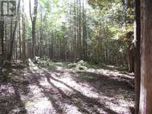 596244 CONCESSION 10 | Chatsworth Ontario | Slide Image Three