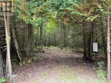 596244 CONCESSION 10 | Chatsworth Ontario | Slide Image Five