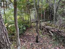 596244 CONCESSION 10 | Chatsworth Ontario | Slide Image Six