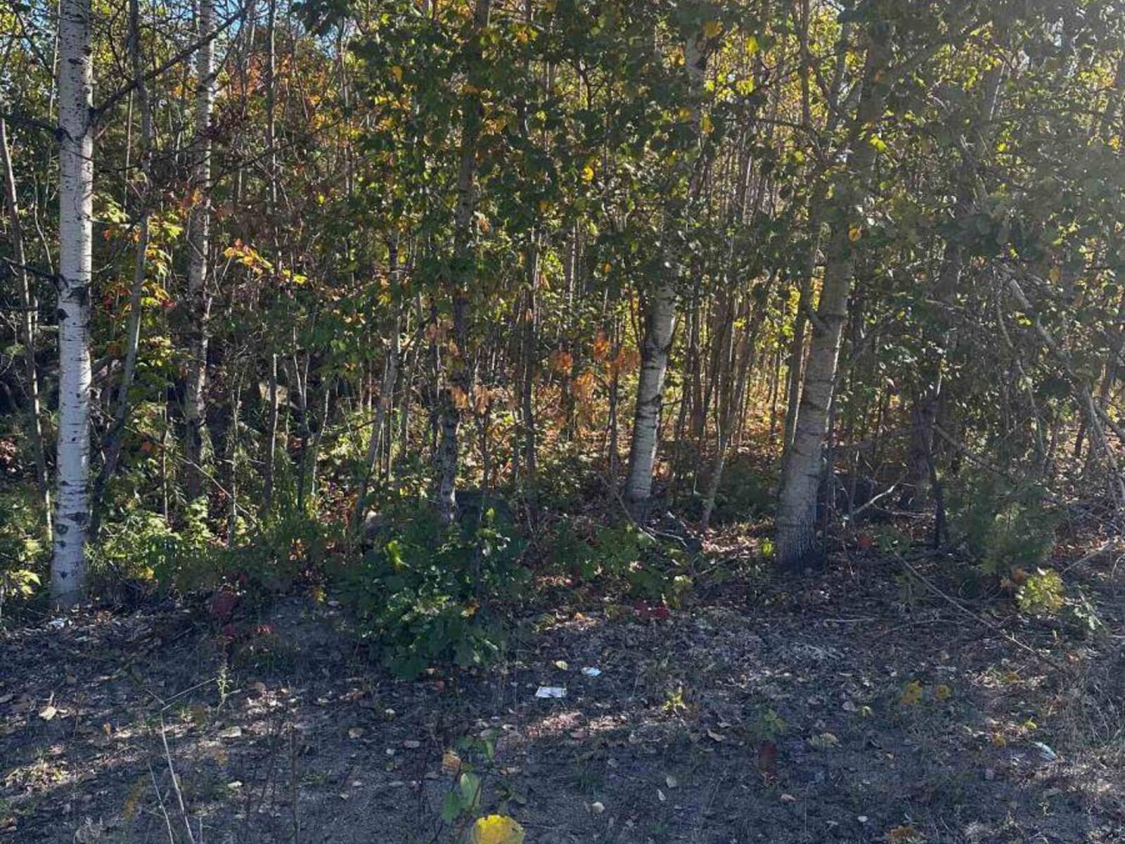 23 FREELAND DRIVE, Gravenhurst, Ontario P1P 1Z6