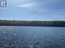 522340146 LITTLE LONG LAKE | Parry Sound Ontario | Slide Image Four