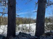 9 - LOT 18 CONCESSION | Baysville Ontario | Slide Image Eight