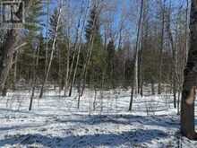 9 - LOT 18 CONCESSION | Baysville Ontario | Slide Image Nine