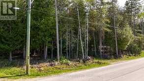 UNIT 6 STOKES BAY ROAD | Lion's Head Ontario | Slide Image Twelve