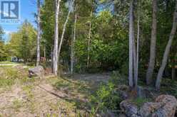UNIT 6 STOKES BAY ROAD | Lion's Head Ontario | Slide Image Seventeen