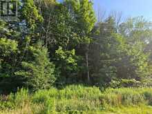 130 OLD HIGHWAY 26 HIGHWAY | Meaford Ontario | Slide Image Ten