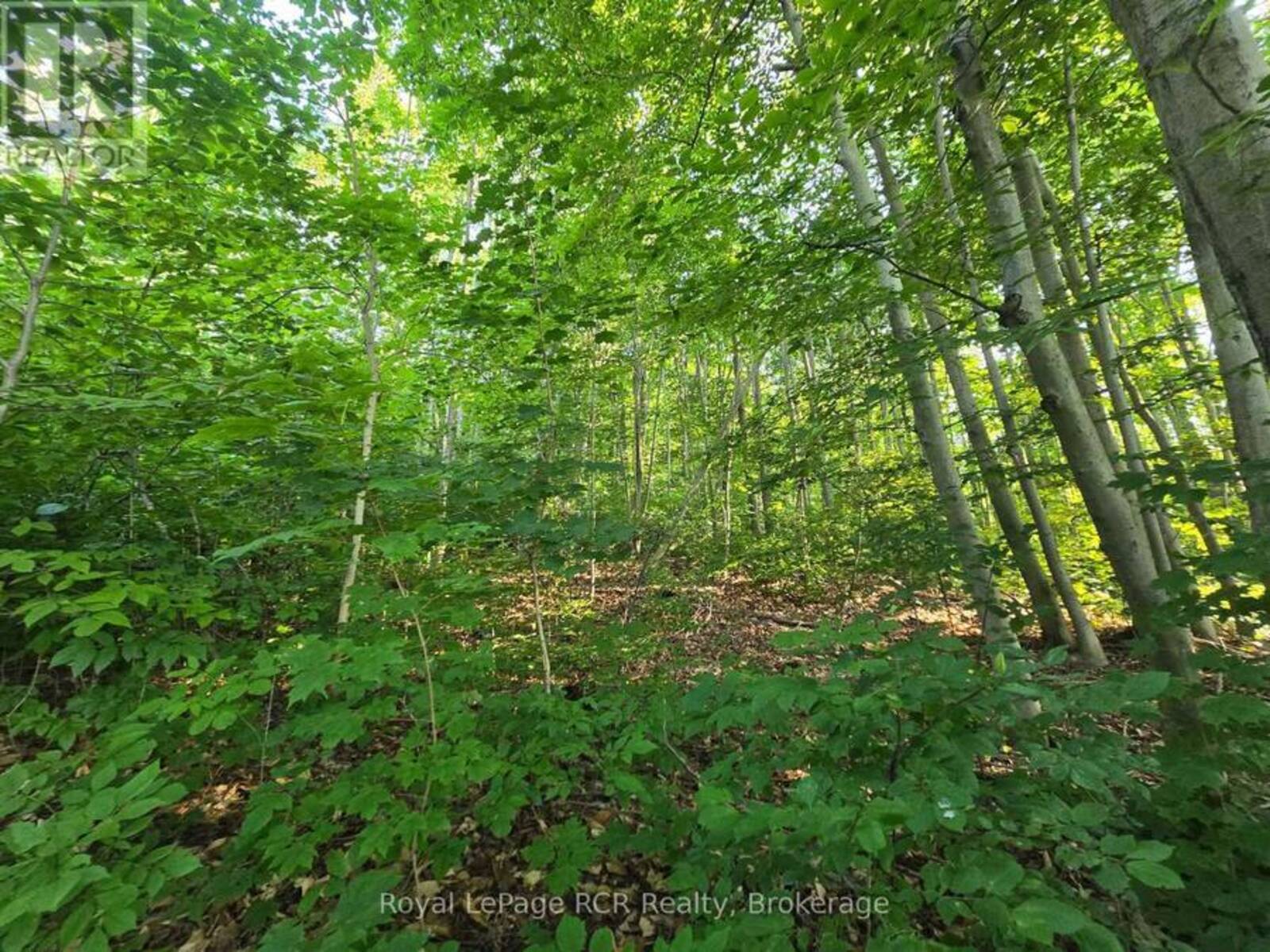 126 OLD HIGHWAY 26 HIGHWAY, Meaford, Ontario N4L 1W7