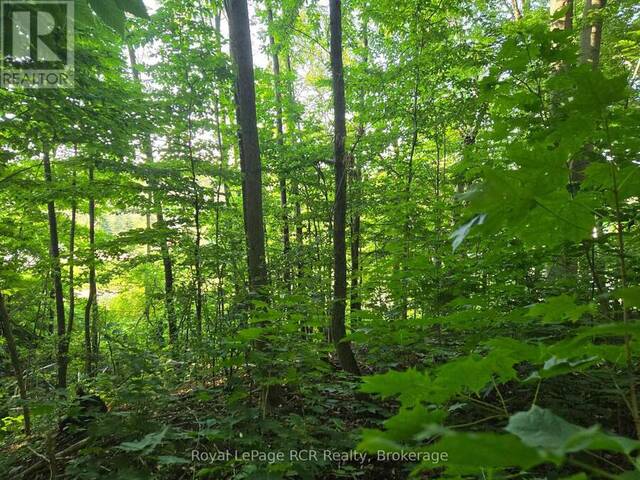 126 OLD HIGHWAY 26 HIGHWAY Meaford Ontario, N4L 1W7 - Vacant Land For Sale