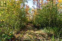 250 PEEK -A- BOO TRAIL | Tiny Ontario | Slide Image Six