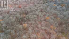 PART 7 STANDING PEOPLE ROAD | Seguin Ontario | Slide Image Eleven