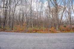 PART 7 STANDING PEOPLE ROAD | Seguin Ontario | Slide Image Fifteen