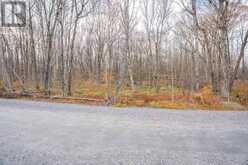 PART 7 STANDING PEOPLE ROAD | Seguin Ontario | Slide Image Seventeen