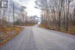 PART 7 STANDING PEOPLE ROAD | Seguin Ontario | Slide Image Nineteen