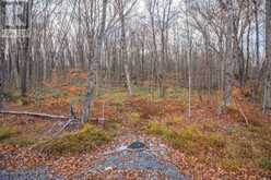 PART 7 STANDING PEOPLE ROAD | Seguin Ontario | Slide Image Twenty-one