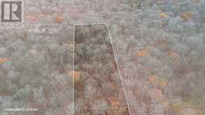 PART 7 STANDING PEOPLE ROAD | Seguin Ontario | Slide Image Three
