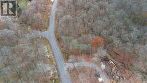 PART 7 STANDING PEOPLE ROAD | Seguin Ontario | Slide Image Ten