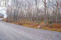 PART 7 STANDING PEOPLE ROAD | Seguin Ontario | Slide Image Fourteen