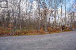 PART 7 STANDING PEOPLE ROAD | Seguin Ontario | Slide Image Twenty