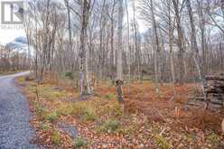 PART 7 STANDING PEOPLE ROAD | Seguin Ontario | Slide Image Twenty-two