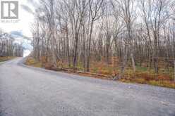 PART 7 STANDING PEOPLE ROAD | Seguin Ontario | Slide Image Sixteen